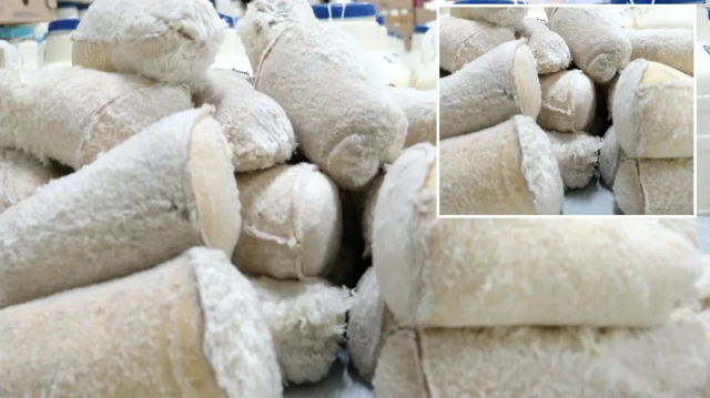 cuval cuval cikariyorlar nami tum turkiyeyi sardi 120 gun saklaniyor her yerden talep yagiyor 6YHePfAW