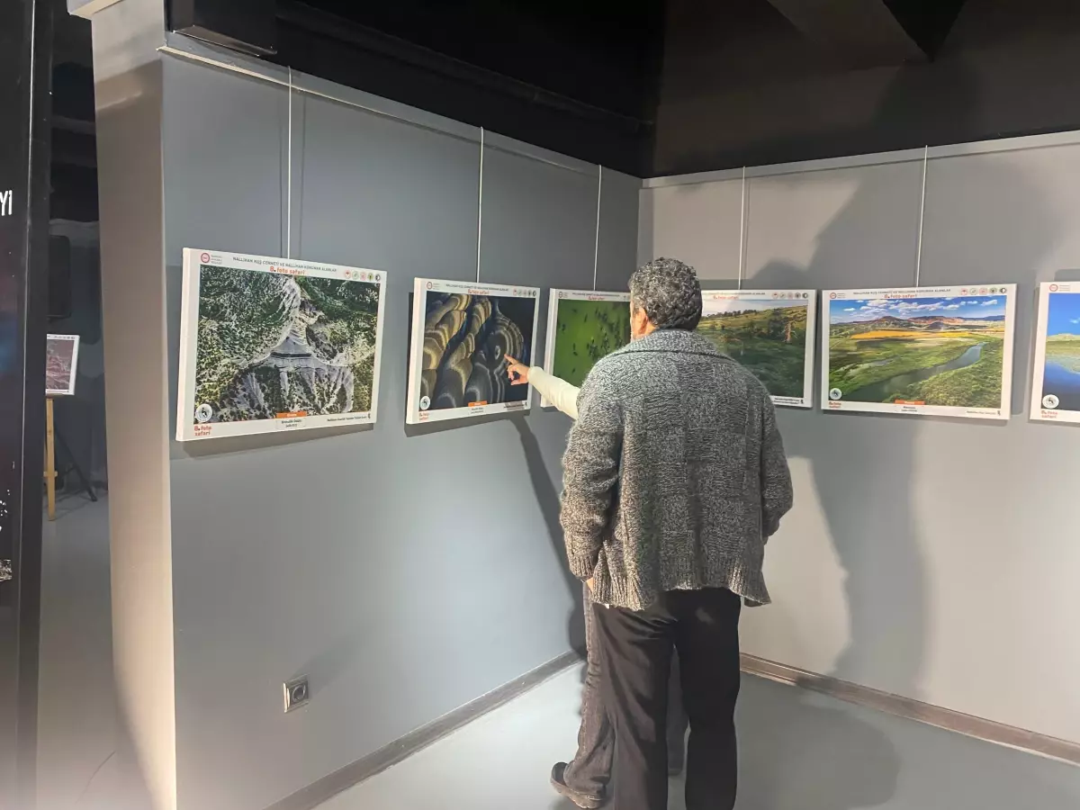 nallihan kus cennetinde foto safari sergisi acildi MS2TEa2H