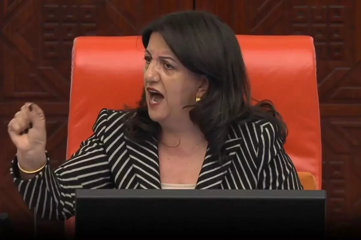 pervin buldanin isim vererek teshir ettigi vekil bana cinsiyetci mesaj gonderdi ND8GTU3j.jpg