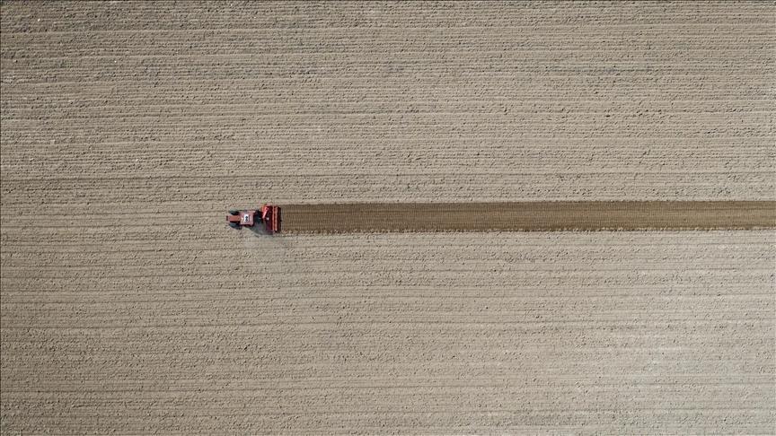 tarim ufe eylulde artti IAzzjVuC.jpg