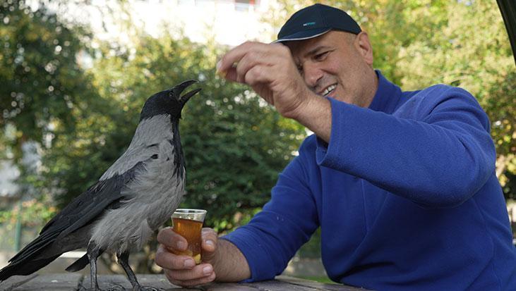 evlat gibi sevdi otobus kaptaninin 25 yildir ayrilmadigi kargasi sakir rize helvasi ve caya bayiliyor k8nh4ZlI.jpg