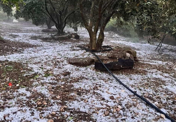 antalya-serikte-ceviz-buyuklugunde-dolu-panigi-vatandaslar-o-anlari-kaydetti-VHhuMBfj