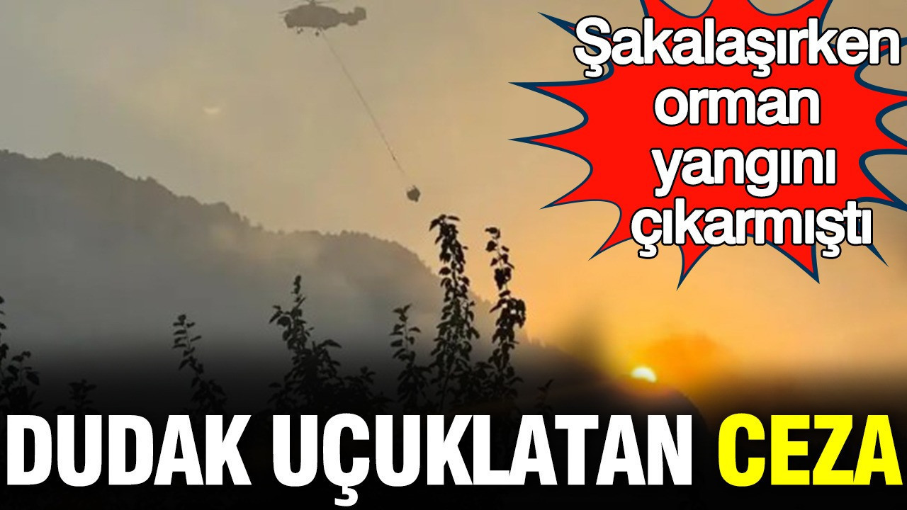 Şaka Kurbanı Orman Yangını: Genç İçin Şok Edici Ceza